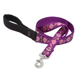 LupinePet 1 Inch Rose Garden Padded Handle Dog Leash