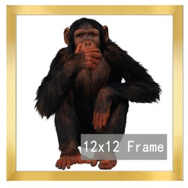 RUN HELIX 12x12 Frame, Horizontal and Vertical Formats for Wall Hanging, 12 x 12 Square Wall Gallery Poster Photo Frame with Durable Shatter Resistant Plexiglass, 12 x 12 Picture Frame Gold