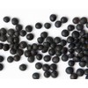 Zursun Heirlooms, Black Beluga Lentil