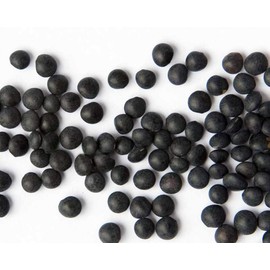 Zursun Heirlooms, Black Beluga Lentil