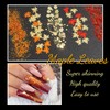 Autumn Nail Flake & Powder Set, 6Boxes Fall Themed Sequin