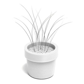 Cat Whisker Collector Pot – Mini Keepsake Plastic Display for Long or Short Whiskers, Thoughtful Pet Memorial Gift for Cat Owners