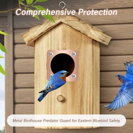 YAFIYGI 4 Pieces Birdhouse Predator Guard Copper Portal Metal Protector for Eastern Bluebird Houses 1 1/2 Inch Hole Guardian Baffle Mounting for Wren and Snake Defense(Rose Gold)