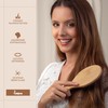Lampox® Bamboo Hair Brush with Boar Bristles Head Massage Hair