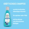 Guhl Long-term Volume Shampoo - Contents: 250 ml - Volume