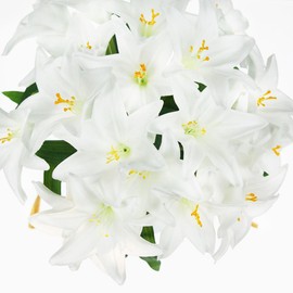 Tinsow Artificial Lily Real Touch Flowers Fake Latex Lily Flowers White Mini Lily for Wedding Home Decoration Small Easter Lily (White, 20)