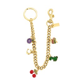 TURAOHU Bag Chain Charm for Handbag, Purse Extender Chain, Vintage Bag Strap Extender, Cute Purse Charm Keychain for Women