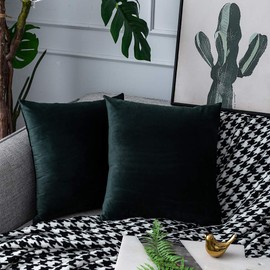 Dark Green Velvet Throw Pillow Covers Soft Solid Square Decorative Pillowcase Set Cushion Case for Sofa Bedroom Chair Bench 2 Pcs 16 x 16 inch