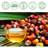 Batana Oil Organic,Batana Oil For Skin Moisturizer And Dry Skin