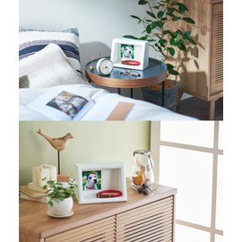 Kenko PS-MB-2L-WH Display Box, 6.6 gal (2 L), White Front Magnetic