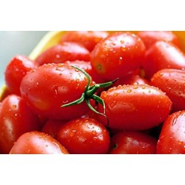 Southeast Seeds Crovarese Italian Grape Tomato Seeds, NON-GMO, Variety Sizes, FREE SHIPPING - 1250 Seeds or 1/8 OZ