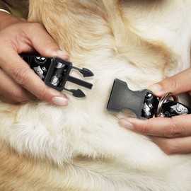 Buckle-Down Dog Collar Plastic Clip Nightmare Before Christmas Jack Scary Teddy Killer Duck 9 to 15 Inches 0.5 Inch Wide