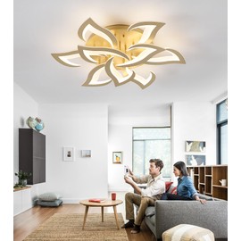 MEIXISUE LED Ceiling Light Gold Dimmable Close to Ceiling Lamp with Remote Control for Living Room,Bedroom,Kitchen,W31.5