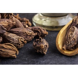 Ladybug Spot Long Lasting Natural Solid Cologne Infused with Essential Oils for Men & Woman 1 OZ Large Size (Oud Wood)