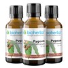 BIOHERBA 3 Stk. Pygeum africanum Tropfen, Tinktur mit Vitamin B1