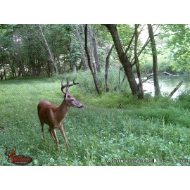 Trophy Rack Deer Mix Deer Food Plot Seed |Trophy Rack Deer Mix | Winter Fall | 10 lbs