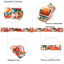 Lionheart glory Premium Floral Dog Collars Spring Dog Collar, Adjustable Heavy Duty Girl Dog Collar for Small Dogs Pet Gift