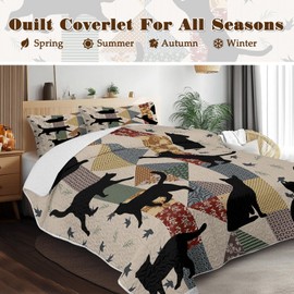 BlessLiving Black Cat Quilt Set 3 Pieces Queen Size Soft Lightweight Bedspread Coverlet Microfiber Boho Floral Cat Bedding Set with 2 Pillow Shams for Boys Girls Adults Bedroom Decor