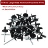 Zorveiio 60 Pcs 3/16" x 1/2" Large Flange Aluminum Blind