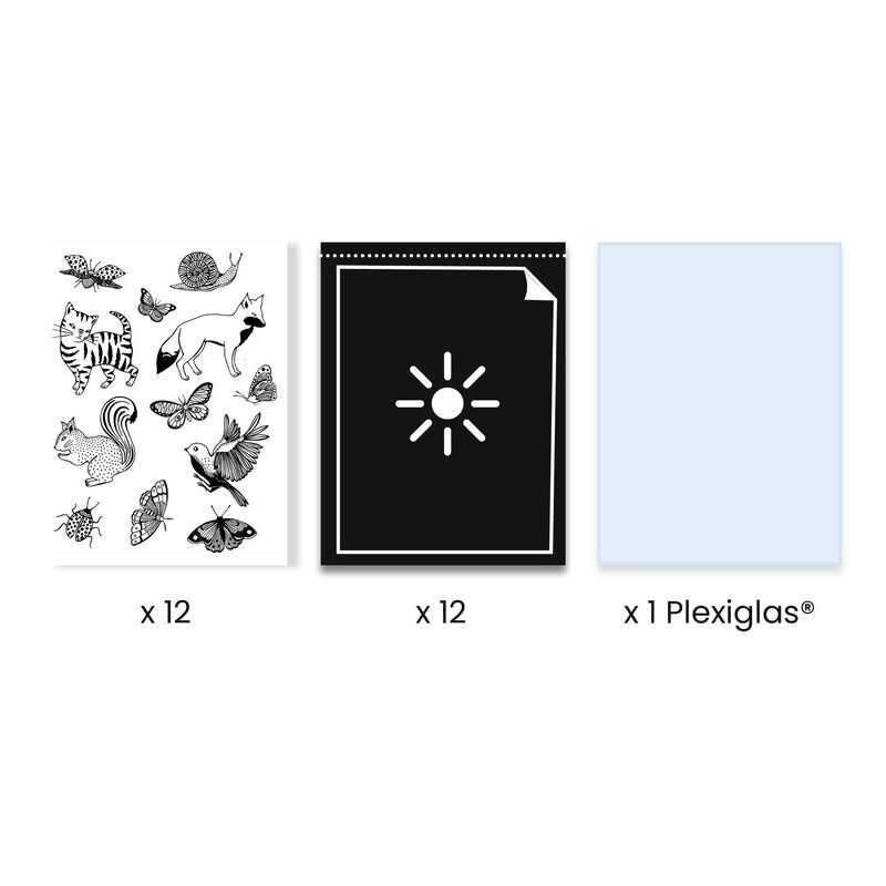 Djeco Cyanotype Starter Kit