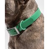 Wild One Collar - X Large Spruce