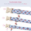 Faygarsle Patriotic Dog Collar, 4th of July Design, American Flag