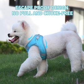 AIITLE Dog Harness and Leash Set, No Pull Step in Puppy Harness with Super Breathable Mesh, Reflective Puppy Essentials for Outdoor Walking, Training for Small Dogs, Cats Blue XS