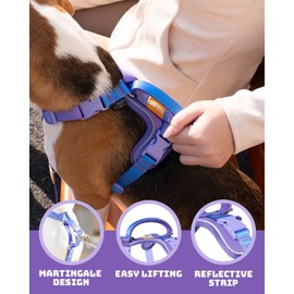 DF Freedom No Pull Martingale Dog Harness and Leash Set, Safety Control to Stop Pulling, Reflective and 5 Point Adjustable, Padded Handle for Easy Support, Rainbow Pro, 1", Chest 22.4" - 30.4"