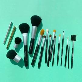 Pure Ziva Brush Set: Lip, Foundation, Powder, Eyebrow, Eyeliner, Lash, Kabuki, Blending, and Dome Brushes