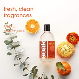 Soak Laundry Soap – 2 Pack Shop & Share | No Rinse, Plant Derived Hand Wash Detergent - 375 ml / 12 fl. oz, 75+ Washes (Yuzu)
