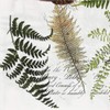 Colored Paper Napkins, 20 Count Shabby Chic Napkins for Wedding,