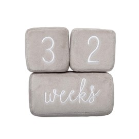 Pearhead Baby Plush Photo Sharing Milestone Age Blocks, Picture Prop, Set of 3 Blocks, Gray