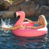 GoFloats Flamingo Pool Float Party Tube, Float In Style (for