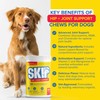 SKIP Hip + Joint Supplement for Dogs - 60 Chews