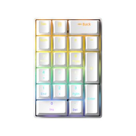 TISHLED Wired Mechanical Numpad Rainbow LED Backlit 20-Key Number Pad Brown Switches Shine Through Keycaps Detachable Cable Numeric Keyboard for PC/Laptop/Win/Mac, White
