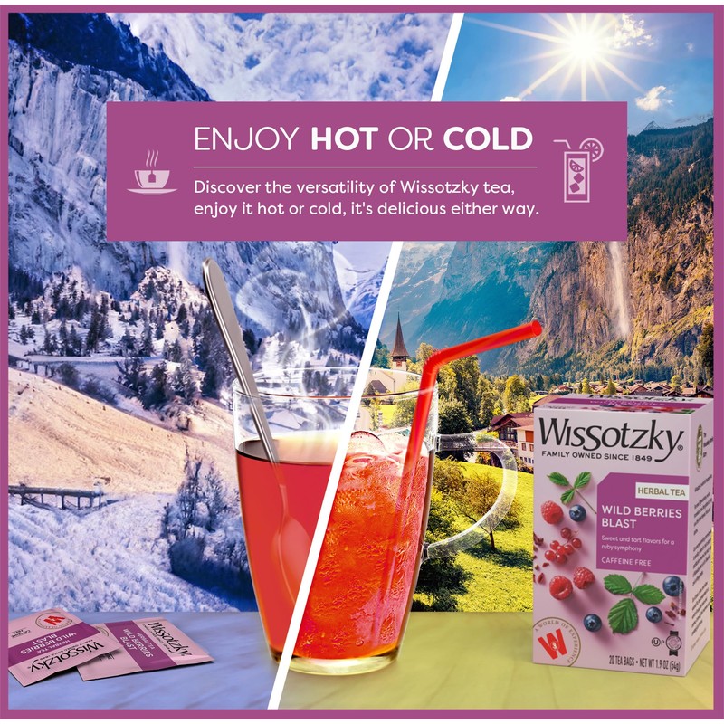 Wissotzky Wildberry Blast Herbal Tea (6 Pack - 120 Tea