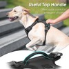 Sunraymascota No Pull Dog Harness, Puppy Vest with Front Clip