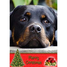 Rottweiler Dog Christmas Card 'Merry Christmas' - Special Animal Xmas Card for Him Her from Pets Kids