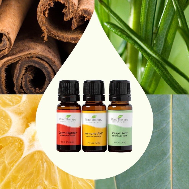Plant Therapy Wellness Sampler Essential Oil Set – 100% Pure
