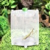 Acrylic Transparent Reptiles Insects Feeding Living Box Mantis Beetle Cultivate