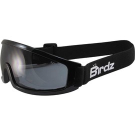 Birdz Robin Sport Skydiving Snowboarding Motorcycle Riding Goggles (Smoke)