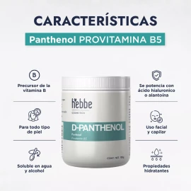 HEBBE COSMETICS AFN5 EMH23 ETD2 D Pantenol Usp 99% Uso Cosmético (panthenol) 100 Gramos