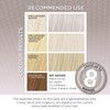 Colour-Freedom Gloss Pro 150ml Silver Blonde Semi-Permanent Hair Colour -