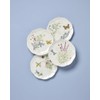 Lenox 897793 Butterfly Meadow Herbs Accent Plates, Set Of 4