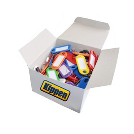 KIPPEN 1200B Pack of 100 Plastic Key Tags with Ring and Label, Assorted
