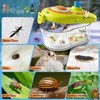 Bug Catcher for Kids, Kids Bug Catching Kit with Insect