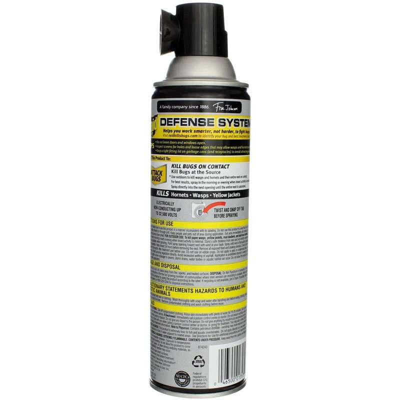 Raid Wasp & Hornet Killer Spray 14 oz (Pack of