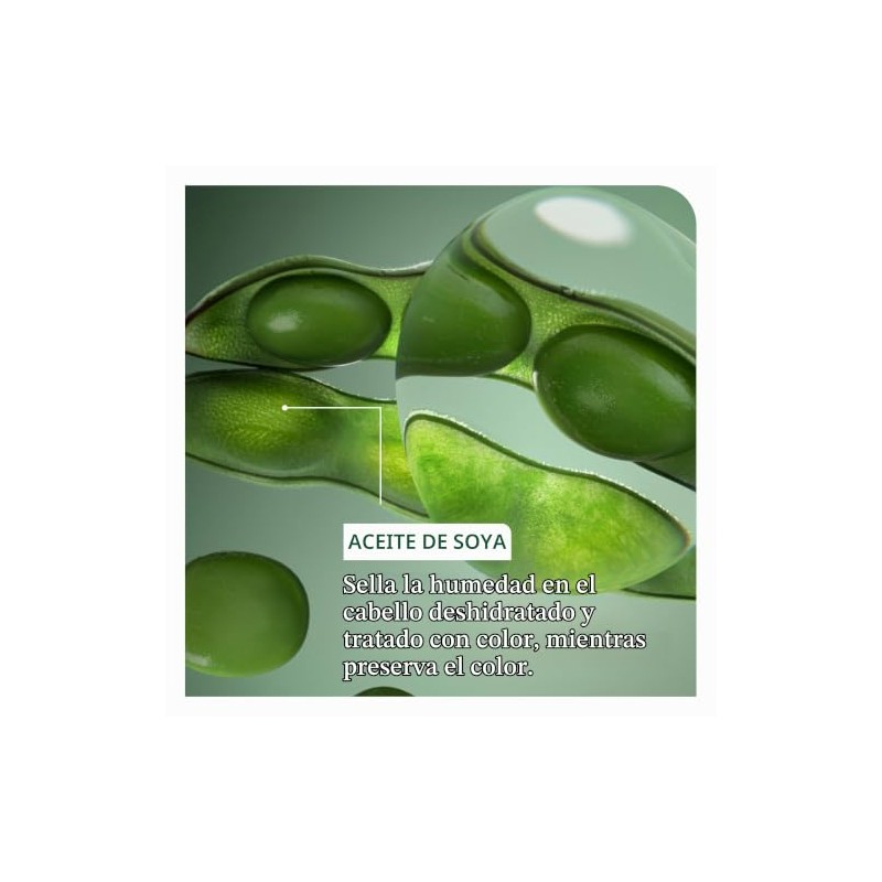 Biolage Shampoo ColorLast con Extracto de Orquídea | Limpia, Protege