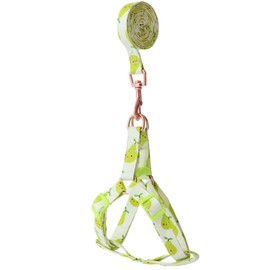 Harikaji Pet Harness with Leash, Fruit Style Dog Harness Pull On Adjustable Lightweight Cat Harness Leash Set for Cat Puppy Small Dogs Avocado L