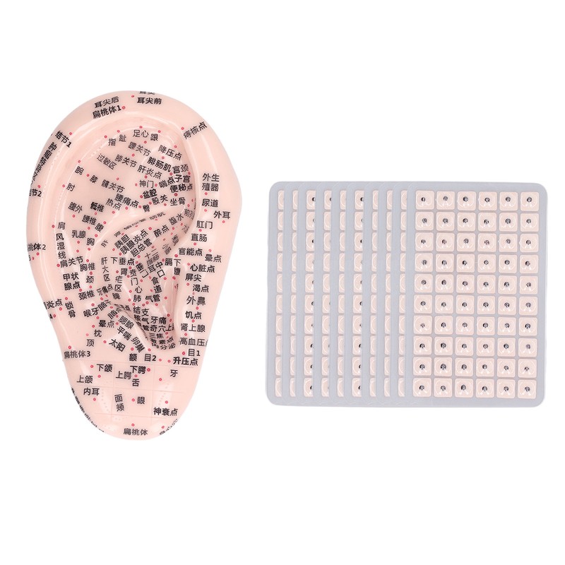 17cm Ear Point Probe 600pcs Auricular Patches Silicone Ear Model